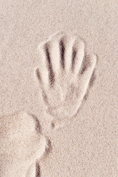 Λεπτομέρεια από μια αμμώδη αμμόλοφος — Φωτογραφία Αρχείου