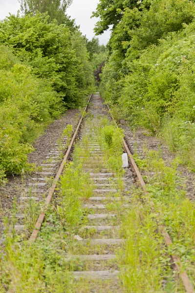 Vecchio binario ferroviario — Foto Stock