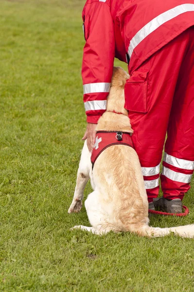 Ausbildung einer Rettungshundestaffel — Stockfoto