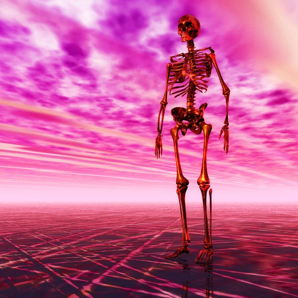 Digital Illustration of a Skeleton — Stock Photo, Image