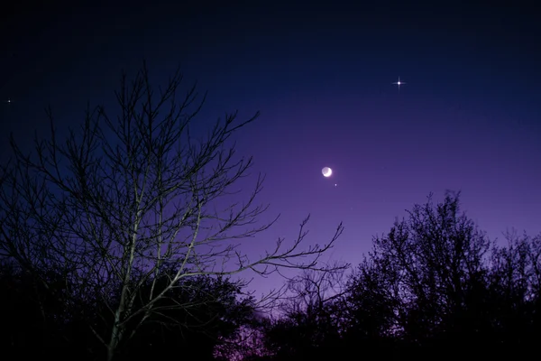 NightSky з місяцем, Венера і Aldebaran — стокове фото