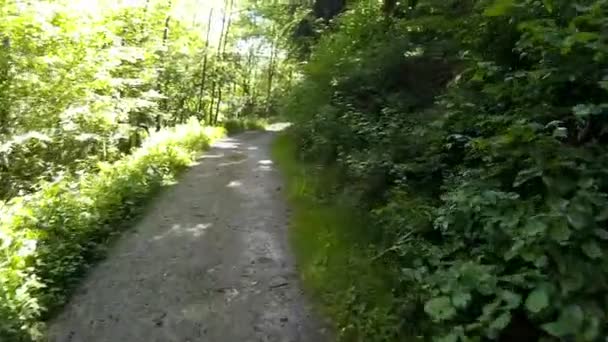 Пешие прогулки по Рейнштейгу в Германии — стоковое видео