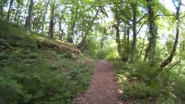 Wandern auf dem Rheinsteig — Stockvideo