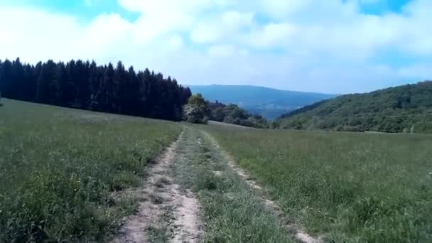 ドイツのライシュタインへのハイキング — ストック動画