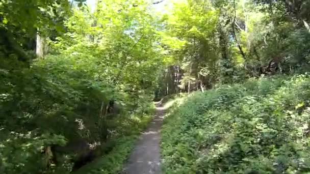Randonnée sur le Rheinsteig en Allemagne