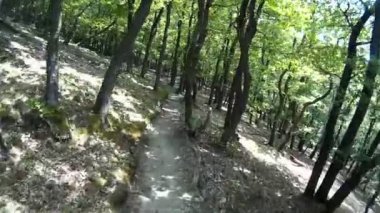 Almanya 'da Rheinsteig' de yürüyüş