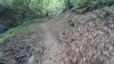 Almanya 'da Rheinsteig' de yürüyüş