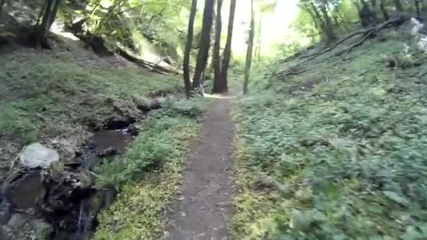 Caminhadas no Rheinsteig na Alemanha — Vídeo de Stock