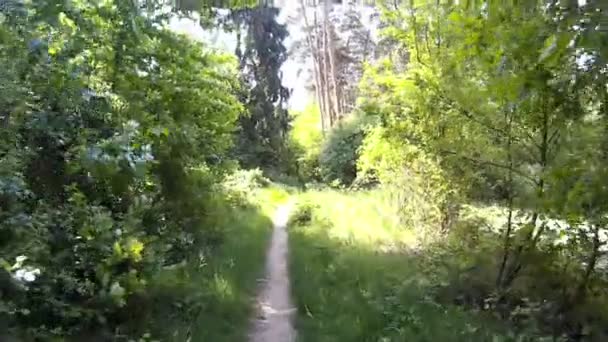 독일의 레 인친 테이그 에서 하이킹하는 모습 — 비디오