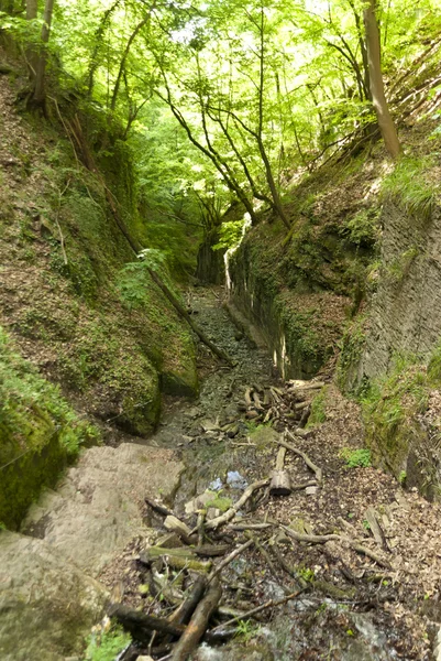 Ruppertsklamm am Rheinsteig — Foto de Stock