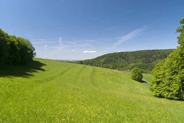 Auf dem Rheinsteig — Stock fotografie