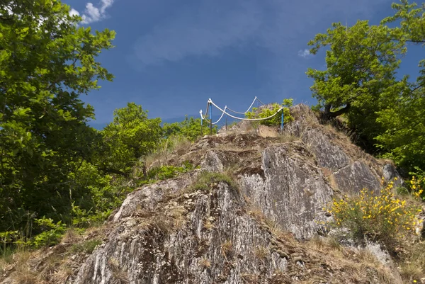 Auf dem Rheinsteig — Stok fotoğraf