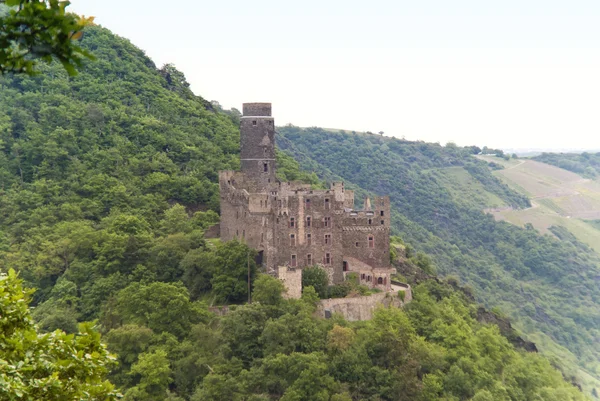 Burg Maus am Rhein — Stok fotoğraf