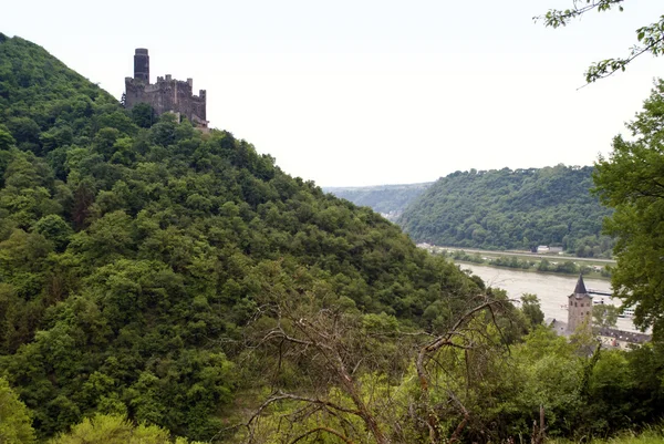 Burg Maus am Rhein — Zdjęcie stockowe