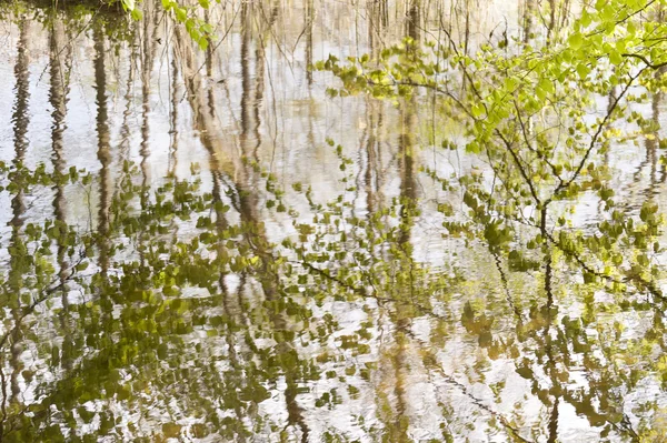 Водная поверхность ручья — стоковое фото