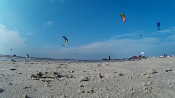 Impression of the Kitesurf World Cup in St. Peter-Ording, Germany, August 21-30 2015 — Stock Video
