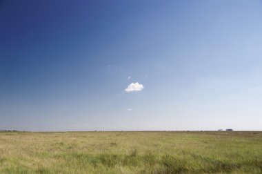 Beach, St. Peter-Ording üzerinde Almanya