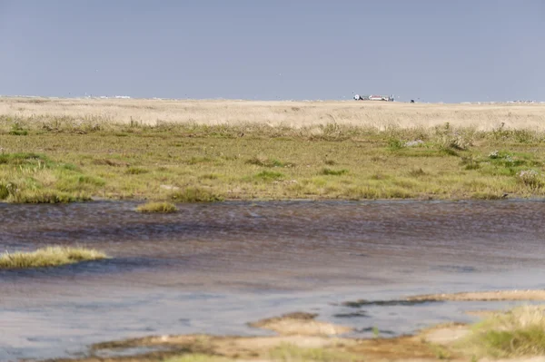 Na praia de St. Peter-Ording na Alemanha — Fotografia de Stock