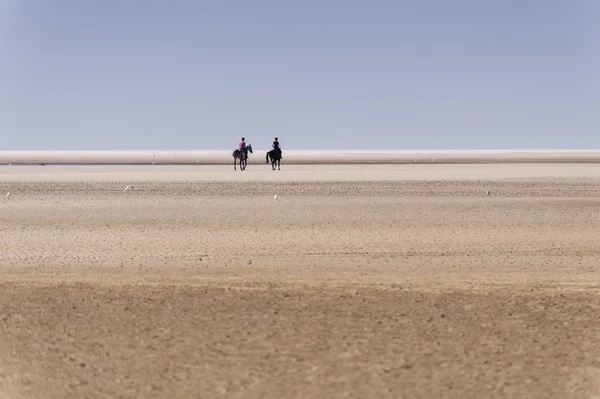 Na plaży w St. Peter-Ording w Niemczech — Zdjęcie stockowe