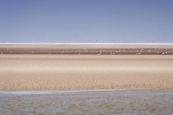 Op het strand van St. Peter-Ording in Duitsland — Stockfoto