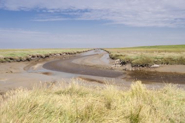 Westerhever Almanya'da tideland