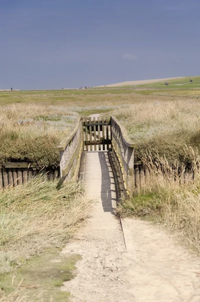 Westerhever Almanya'da tideland — Stok fotoğraf