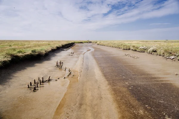 Tideland of Westerhever na Alemanha — Fotografia de Stock