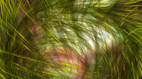 Cyfrowy ilustracja mistyk wirowa — Zdjęcie stockowe