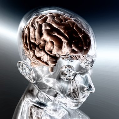 insan beyninin dijital görüntüleme