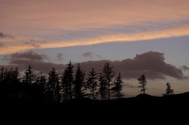 Amrum Almanya'da akşam ruh