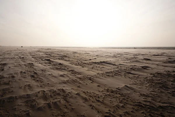 Пляжі острові Amrum в Німеччині — стокове фото