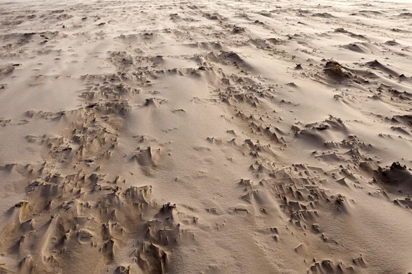 Playa de Amrum En Alemania —  Fotos de Stock