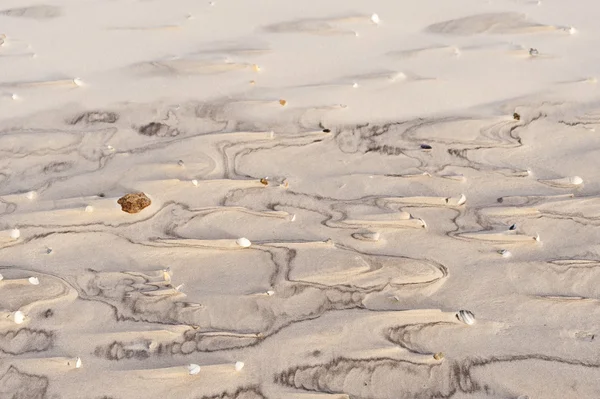 Playa de Amrum En Alemania — Foto de Stock