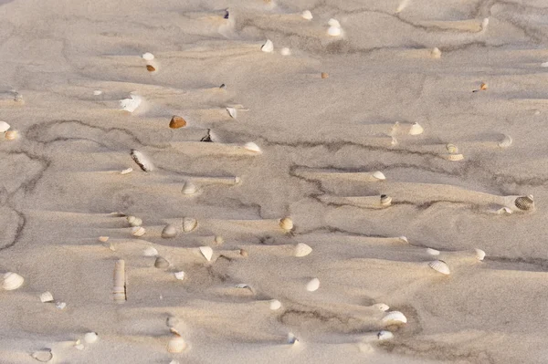 Praia de Amrum Na Alemanha — Fotografia de Stock