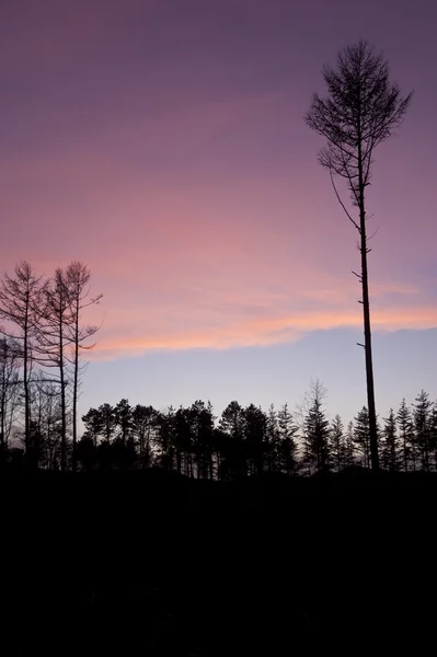 Umore serale su Amrum in Germania — Foto Stock