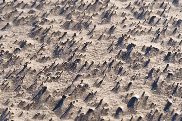 Пляж Амрум в Германии — стоковое фото