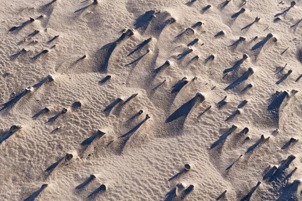 Praia de Amrum Na Alemanha — Fotografia de Stock