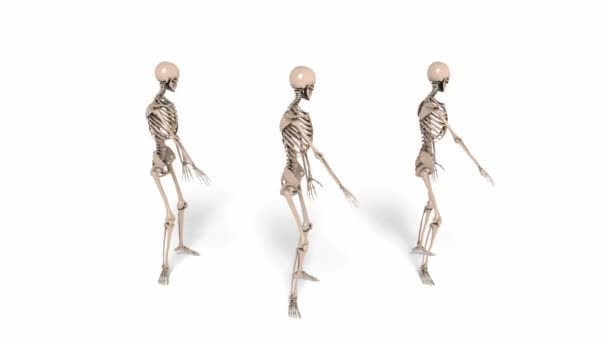 Digital Animation of cheerleading Skeletons — Stock Video