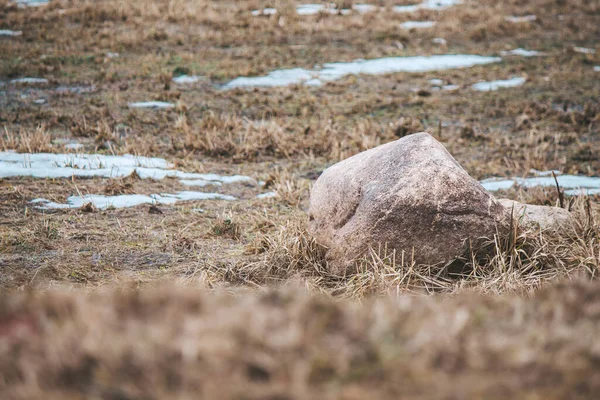 A large stone lies on muddy ground between patches of snow — Stock Photo, Image