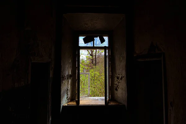 Fensterblick auf die frühlingshafte Umgebung von einem verlassenen Gebäude — Stockfoto