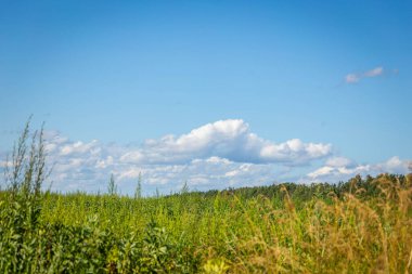 Green grass field and blue sky with beautiful clouds