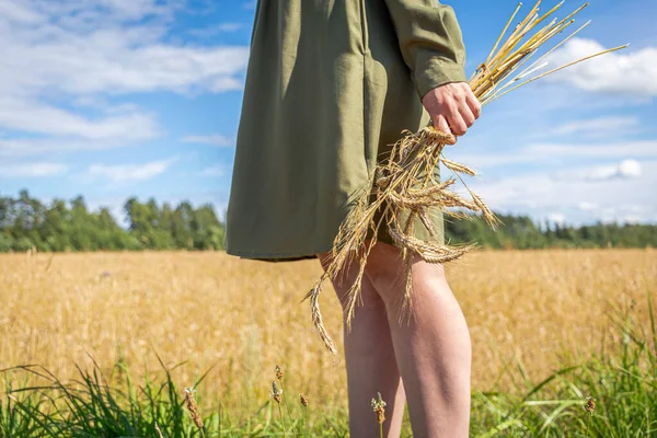 A girl holds a bouquet of stalks of wheat and stands against the background of a road receding into the distance — Stock Photo, Image