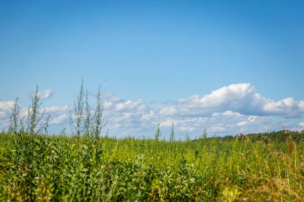 Green grass field and blue sky with beautiful clouds