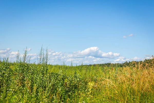 Green grass field and blue sky with beautiful clouds — Photo