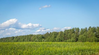 Green grass field and blue sky with beautiful clouds