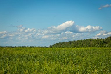 Green grass field and blue sky with beautiful clouds
