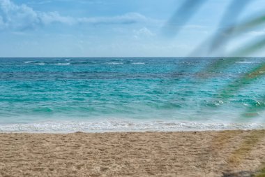 Dominik Cumhuriyeti 'nin kumlu plajı