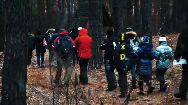 Ludzie idą do lasu ostrości na drzewo — Wideo stockowe