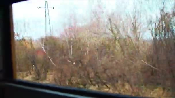Pohled z lesa z okna jedoucího vlaku — Stock video