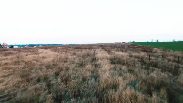 Arbustos en el campo verde Aire amarillo — Vídeos de Stock